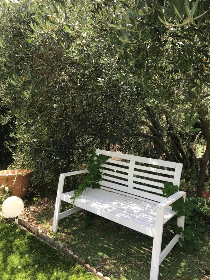 Chambre D Hotes Au Coeur Des Oliviers Marseille Exteriér fotografie