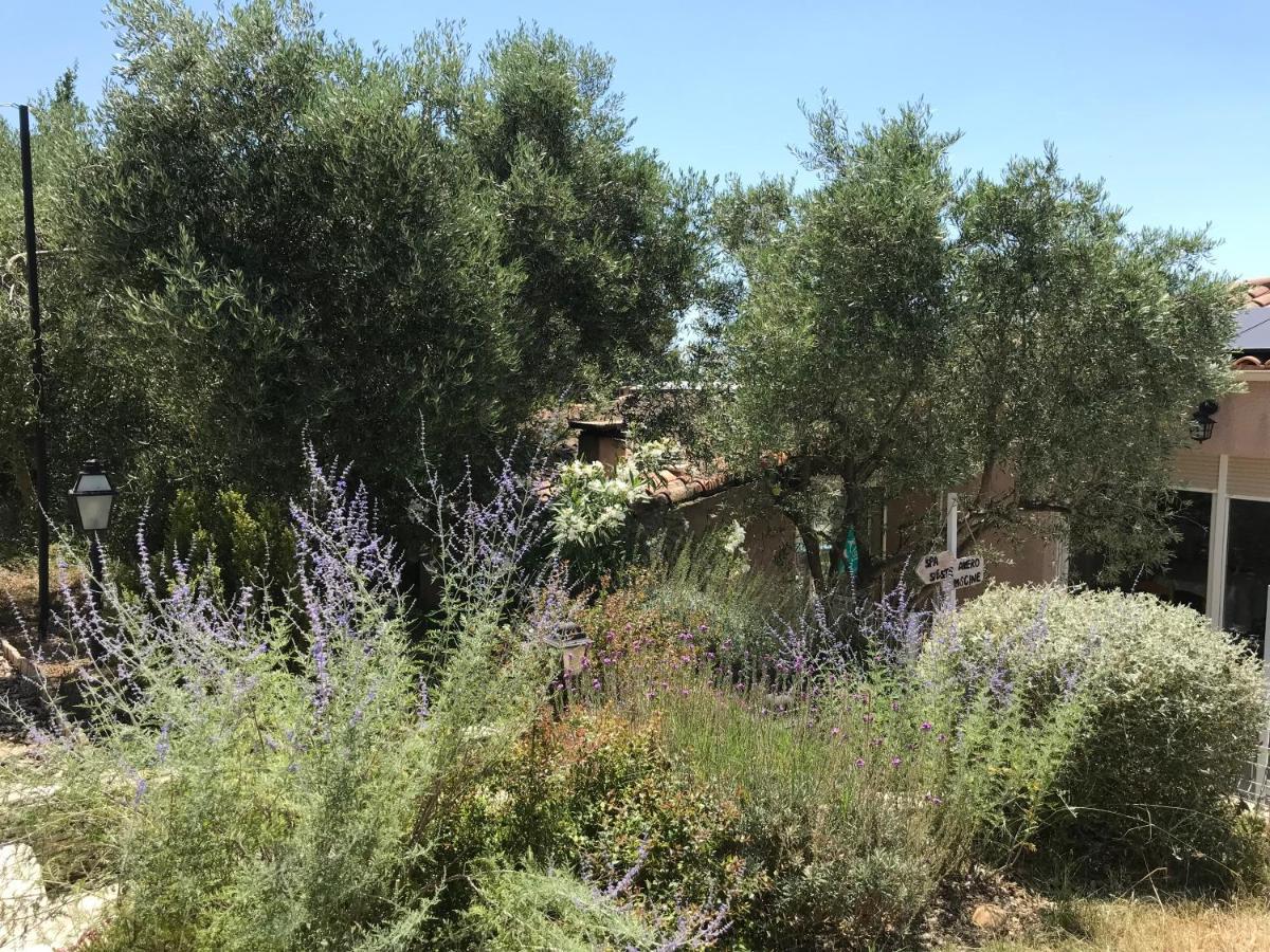 Chambre D Hotes Au Coeur Des Oliviers Marseille Exteriér fotografie