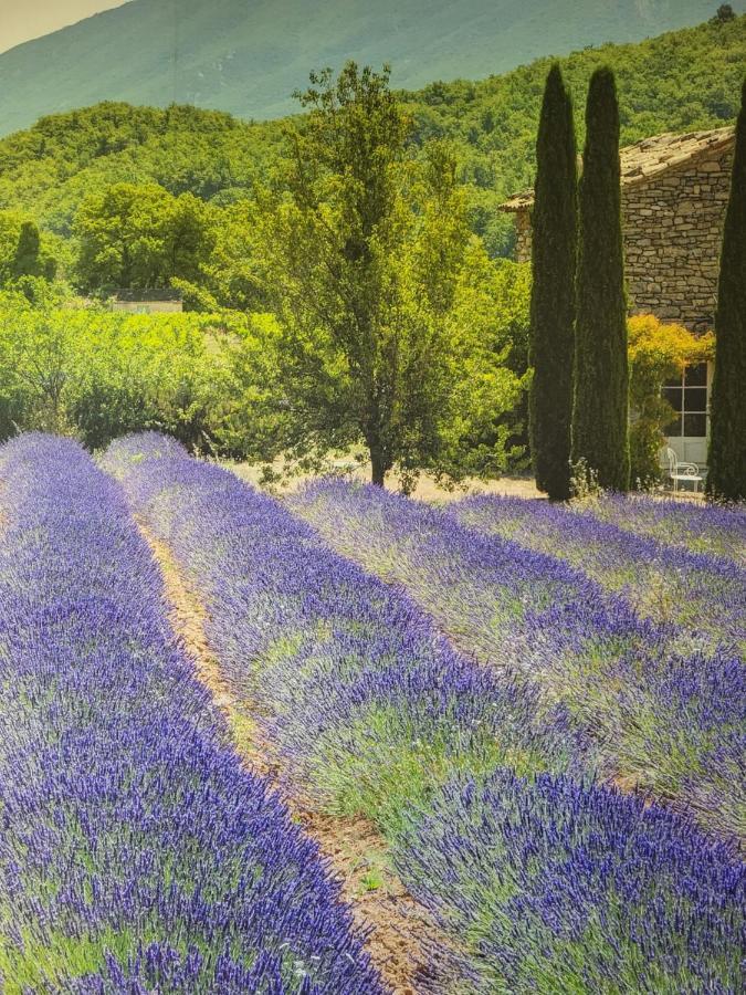 Chambre D Hotes Au Coeur Des Oliviers Marseille Exteriér fotografie